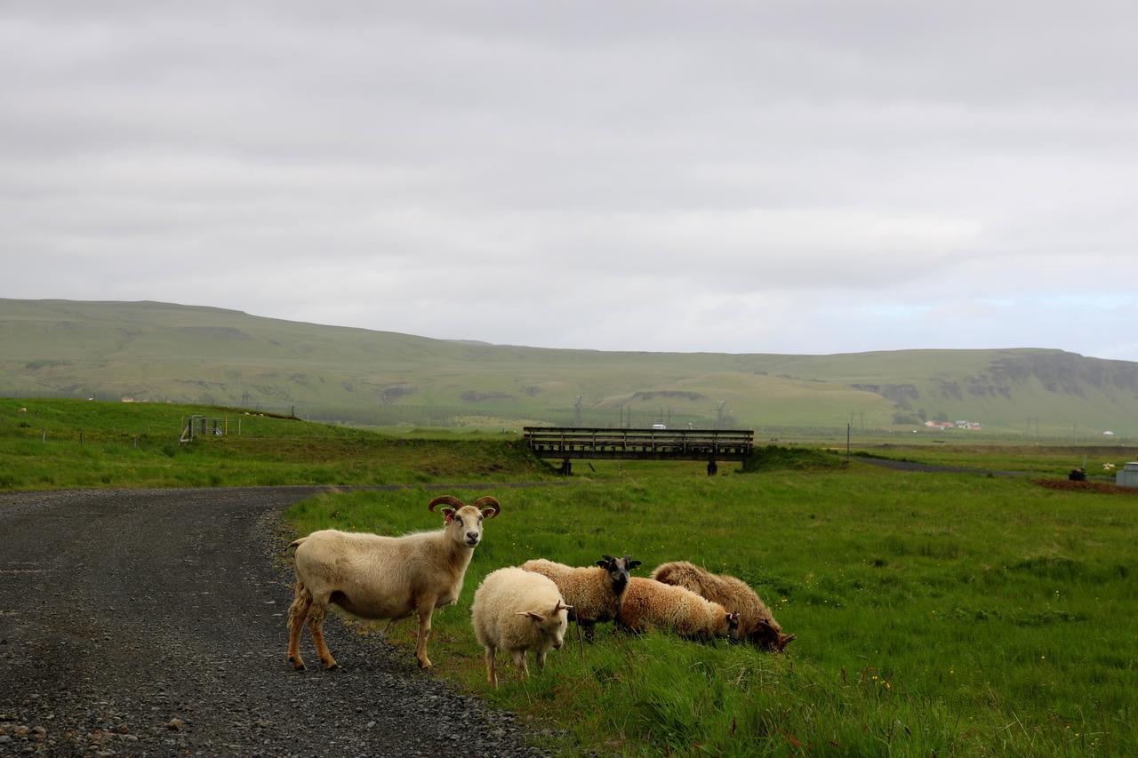 Adventure Hotel Geirland Kirkjubæjarklaustur Zewnętrze zdjęcie