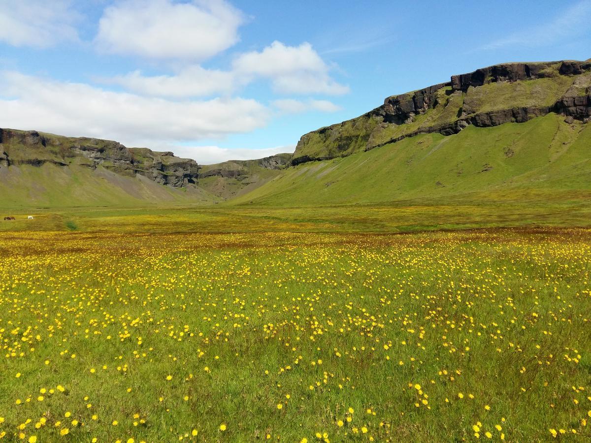 Adventure Hotel Geirland Kirkjubæjarklaustur Zewnętrze zdjęcie